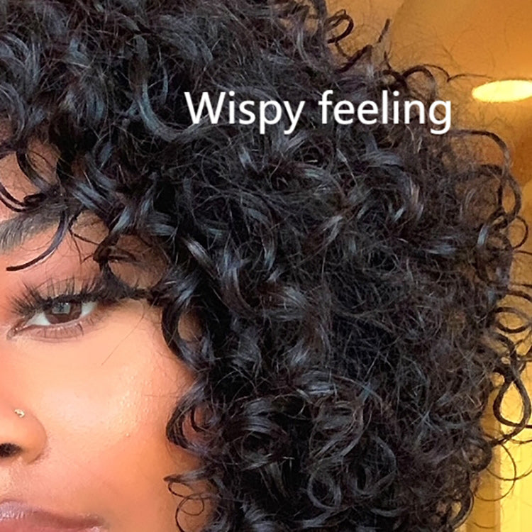 Viral Shaggy Style Curly Wig