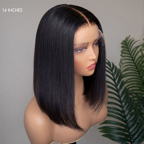 Glueless 5x5 Closure Undetectable HD Lace Silky Straight Human Hair Wigs