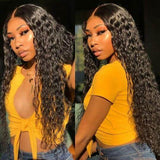 Water Wave Hair 13*4 HD Lace Front Wigs Glueless Transparent Lace Wig Pre-plucked Hairline